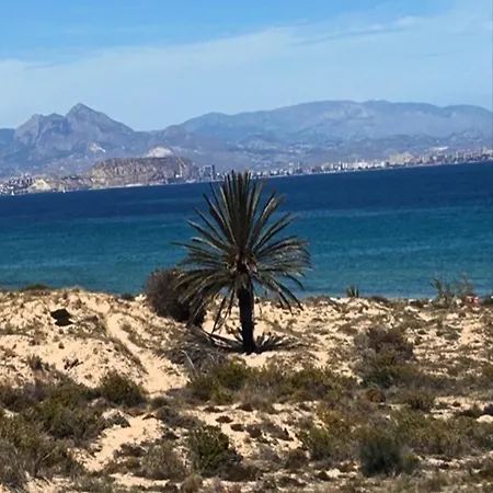 公寓 Altomar Ii 格兰阿利坎特